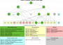 courses:cmpu-course-dependency-graph.png